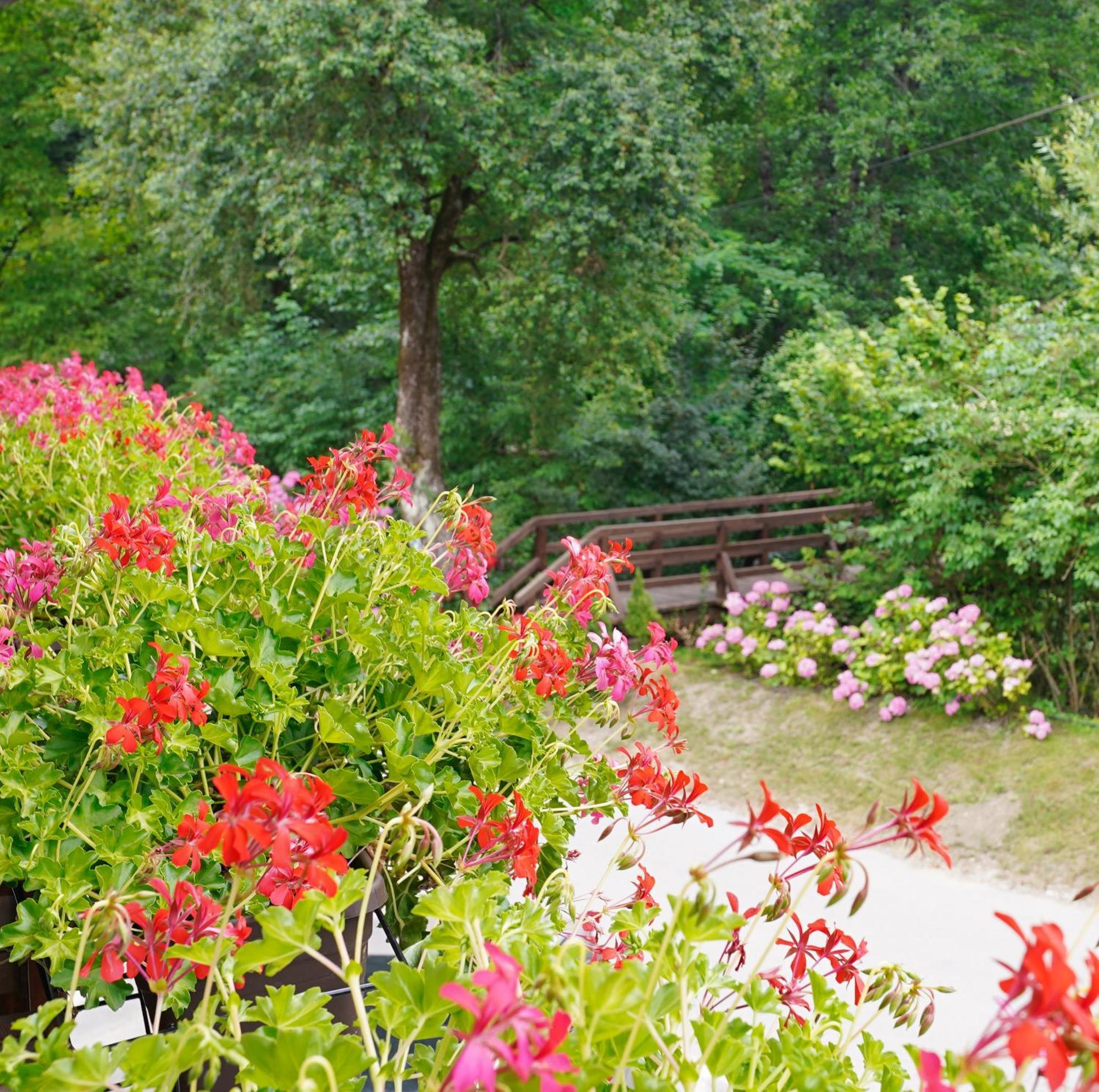 Domacija Bubec Villa Ilirska Bistrica Buitenkant foto